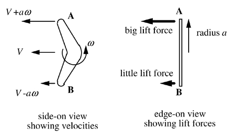 Boomerang theory