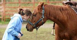 Horsing around with measurements