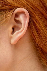 Ear