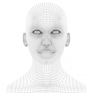 wireframe head