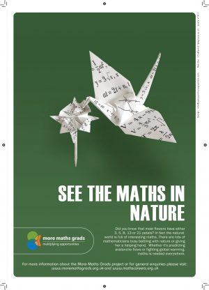 maths in nature