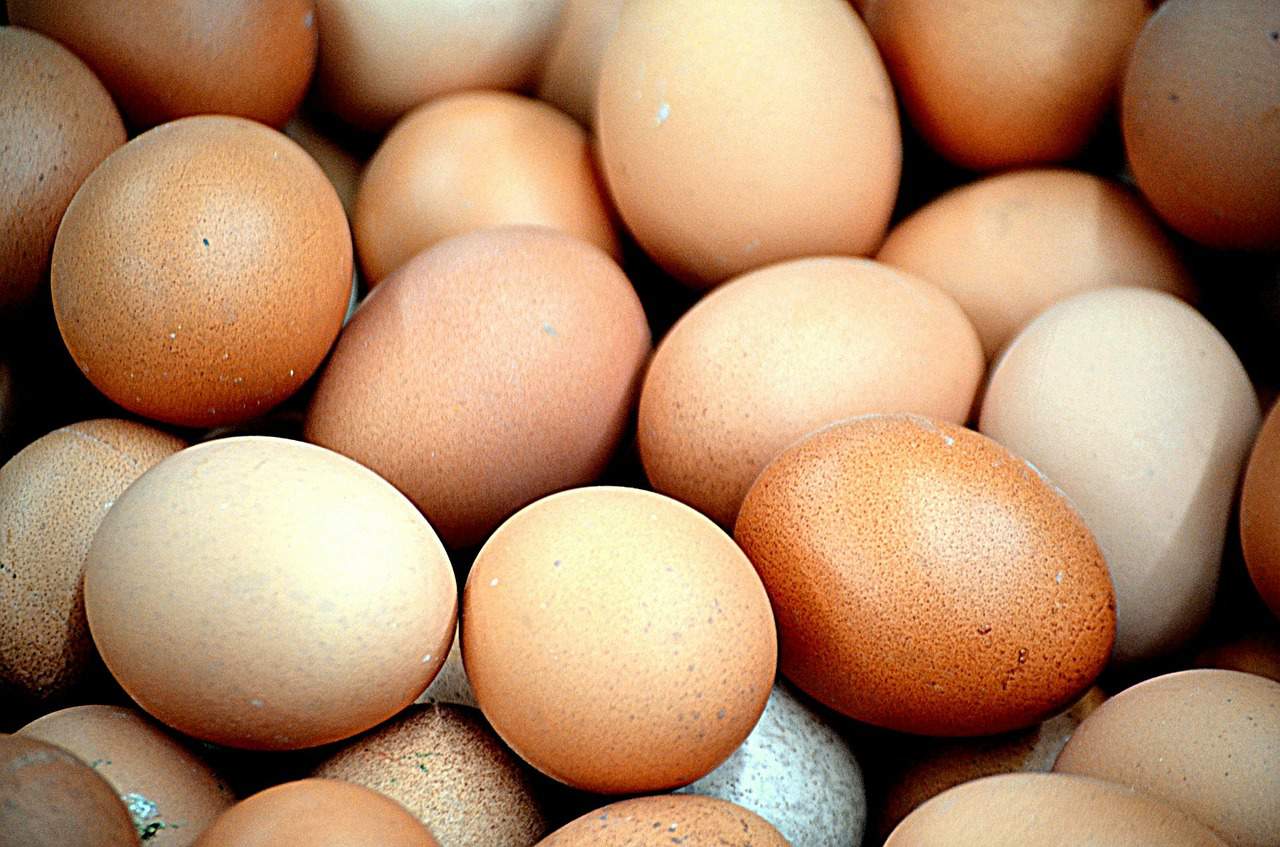 Which Is Better Value: Buying Medium Eggs or Large Eggs?