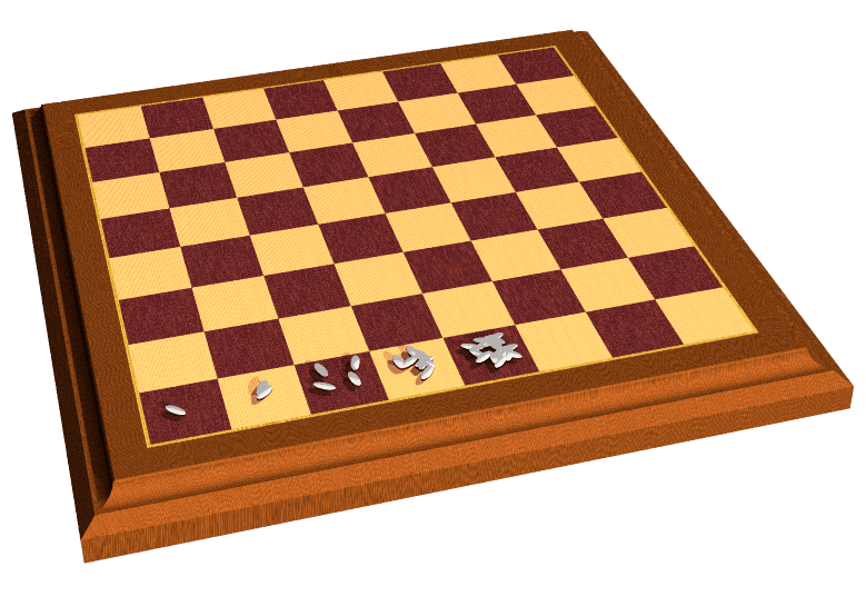 rice on chessboard