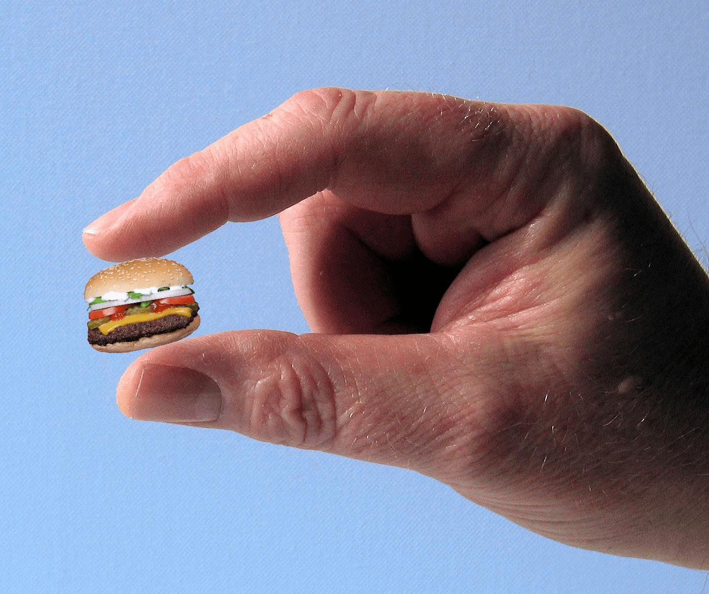 large hand holding small burger