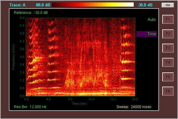 whales spectrograph